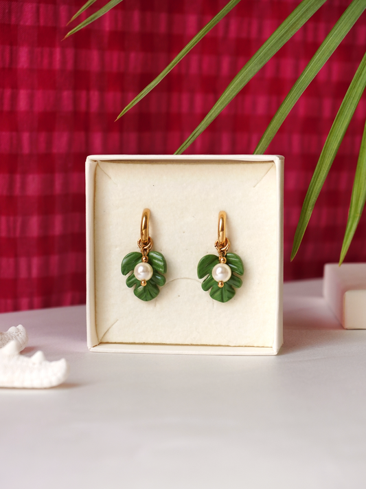 Boucles Monstera