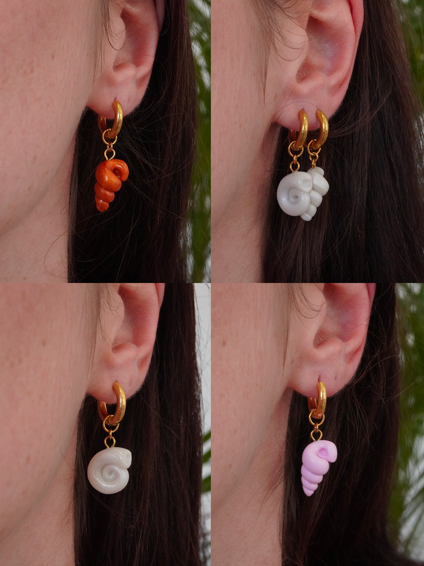 Coffret Coquillages - interchangeable