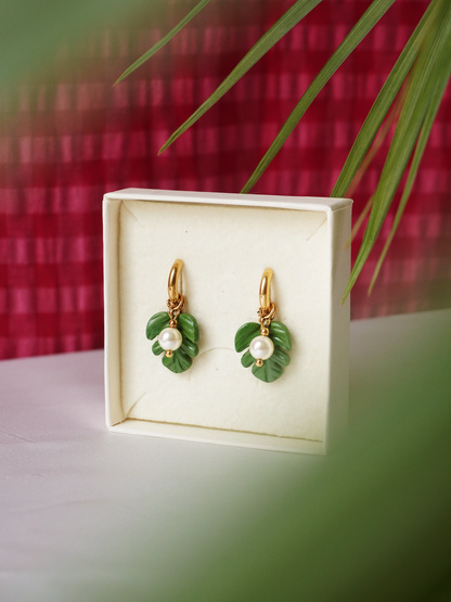 Boucles Monstera