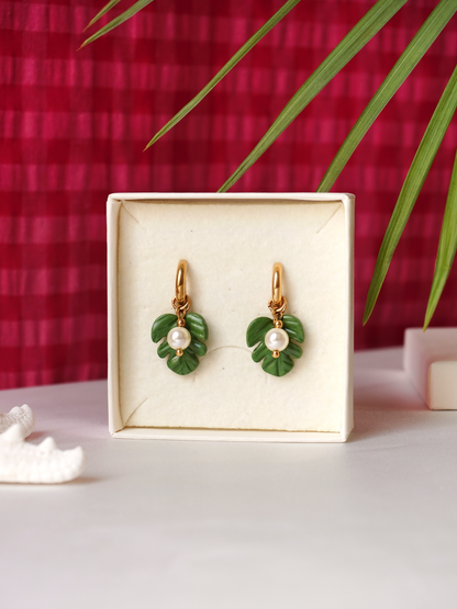 Boucles Monstera