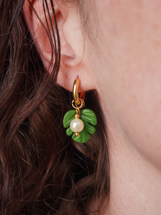 Boucles Monstera
