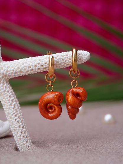Boucles Seashell - 4 coloris