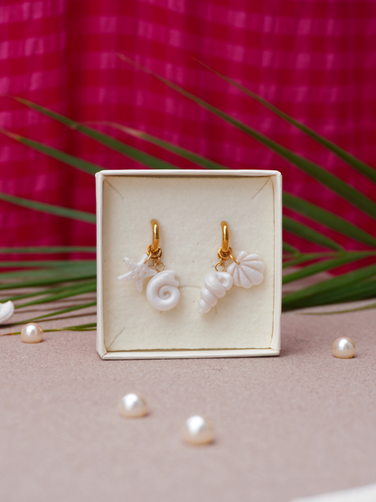 Coffret Coquillages - interchangeable