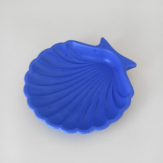 Coquillage bleu - Seconde chance ✵