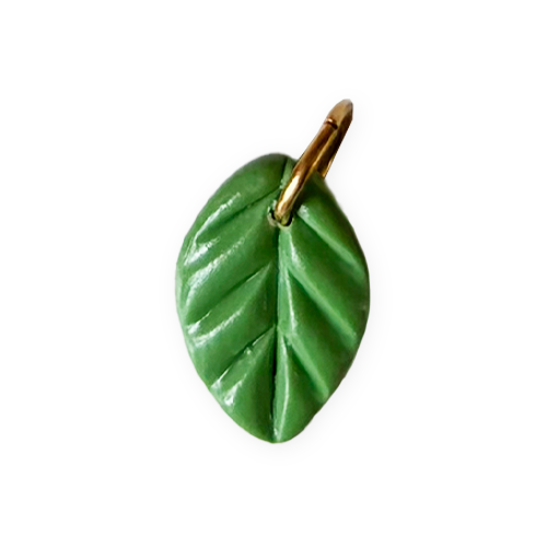 Feuille verte claire