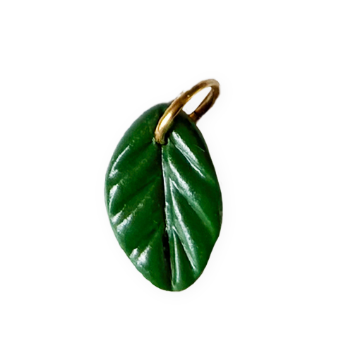 Feuille verte foncée