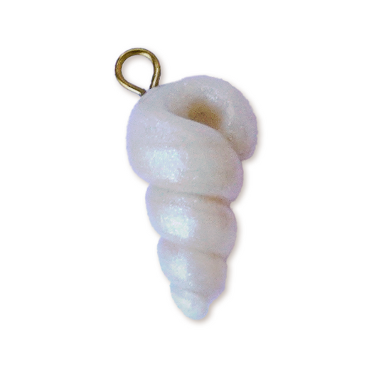 Coquillage nacré